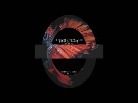 Gianluca Rattalino, Entoniu & Agape - Stabilo