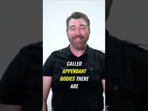 Freemason reveals: What is a 33rd Degree Mason? (Part 1) #scottishrite #freemasonry #33degrees