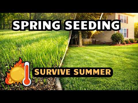 Spring Seeding Tall Fescue: What to Do and What NOT to Do (2026)