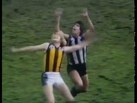 All in the Game - VFL 1982