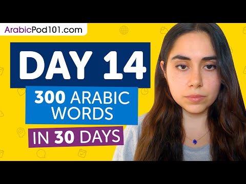 Day 14: 140/300 | Learn 300 Arabic Words in 30 Days Challenge