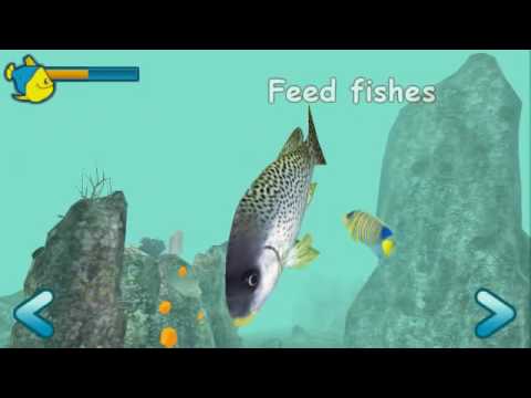 fish tank psp gameplay