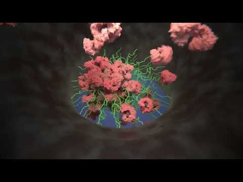 Swiss Nanoscience Institute and BiozentrumBasel