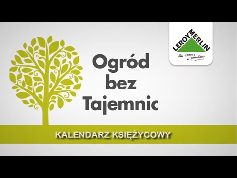 Maska do włosów Wrap Kupić olej kukurydziany do włosów kupić