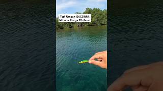 Download lagu Cheap GACORRR Minnow Bait Test Price only Rp. 10,000 mp3