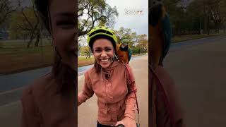 Arara acompanha tutor em passeios de bicicleta | #DomingoEspetacular #shorts