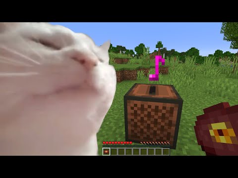 Insane! Cat Goes Wild to Epic Minecraft Beats!