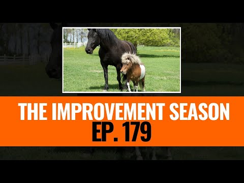 179: The Improvement Season - Big or Small Surplus?