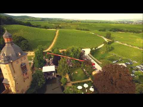 Rheingau Musik Festival: Seebühnenkonzert auf Schloss Vollrads