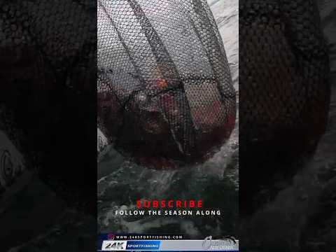 Rockfishing Up The Marin Coast Its Amazing Moving Just A Few Feet Can Make The Difference