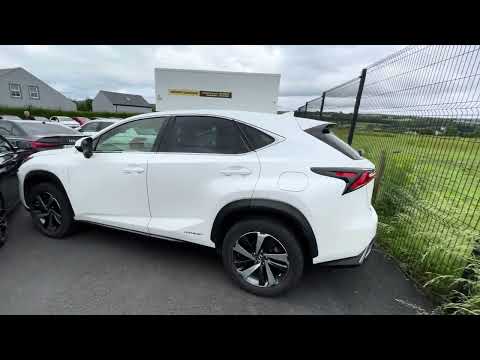 2020 Lexus NX