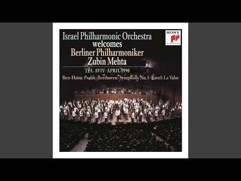 Symphony No. 1, Op. 25: II. Molto calmo e cantibile "Psalm"