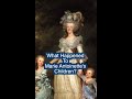 What Happened To Marie Antoinette S Kids Short