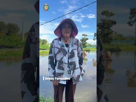 [ #Acuicultura ] 🐟 𝗚𝗼𝗿𝗲𝘀𝗮𝗺 𝗲𝗻 𝗮𝗰𝗰𝗶𝗼́𝗻: 𝘀𝘂𝗽𝗲𝗿𝘃𝗶𝘀𝗮𝗺𝗼𝘀 𝗯𝘂𝗲𝗻𝗮𝘀 𝗽𝗿𝗮́𝗰𝘁𝗶𝗰𝗮𝘀 𝗮𝗰𝘂𝗶́𝗰𝗼𝗹𝗮𝘀 𝗲𝗻 𝗥𝗶𝗼𝗷𝗮