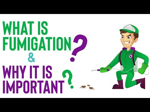 What is fumigation and why it is important?