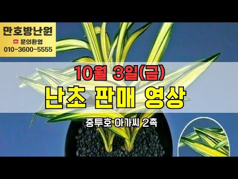 유튜브 썸네일