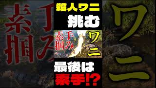 アマゾンの殺人ワニに素手で挑む日本人｜Japanese Man vs Crocodile