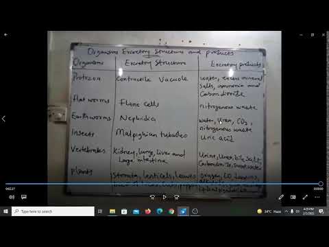 JAMB, WAEC LESSON 2022, Biology, Complete Tutorial