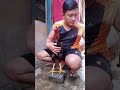 Cara Rawatan Ayam Jalu Untuk Pemula