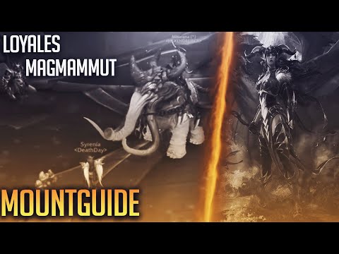 MOUNTGUIDE: "LOYALES MAGMAMMUT" & PET "SPLITTER"
