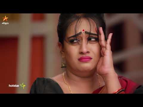 Raja Rani Full Episode 316