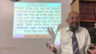 הרב ינון קלזאן - פרשת בראשית - קין והבל וסוד איסור לבישת שעטנז - חלק א - התמונה מוצגת ישירות מתוך אתר האינטרנט יוטיוב. זכויות היוצרים בתמונה שייכות ליוצרה. קישור קרדיט למקור התוכן נמצא בתוך דף הסרטון