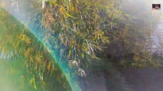 Воркута. 15.09.26. Лето не отступает.