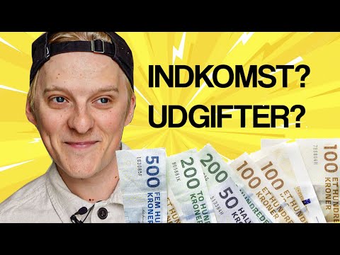 ET INDBLIK I MIN ØKONOMI 💸
