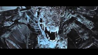 "Angel" | AvP&Doom