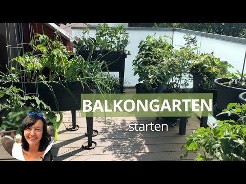 , title : 'Einen Balkongarten mit Gemüse starten - 8 Tipps für Anfänger'