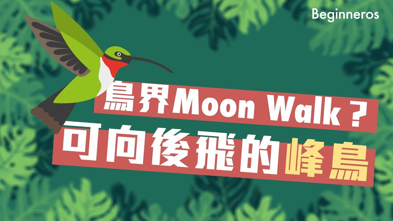 原來河馬不會游泳？