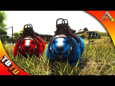 Ark: survival Evolved Mutation Zoo E10 - CASTOROIDES BREEDING AND COLOR MUTATIONS!