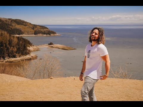 WhileWild - Home (Official Music Video) 4K