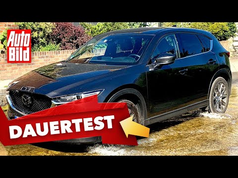 Mazda CX-5 (2019) | Wie steht's um die Haltbarkeit des CX-5? | Dauertest mit Tim Dahlgaard