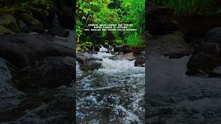 Download lagu KODRATE WONG LANANG mp3