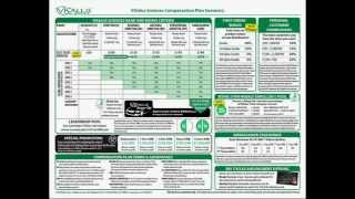 Visalus Compensation Plan Explained - ViSalus HQ