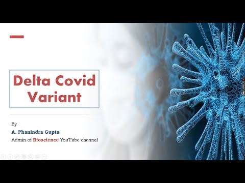 LYTIC CYCLE BY PHANINDRA GUPTHA