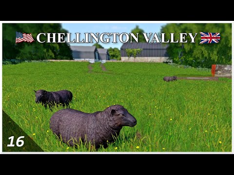 Baa Baa Black Sheep | Chellington Valley | Farming Simulator 19 | Episode 16