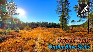 ☀️ Golden Trails under Blue Skies 🏃