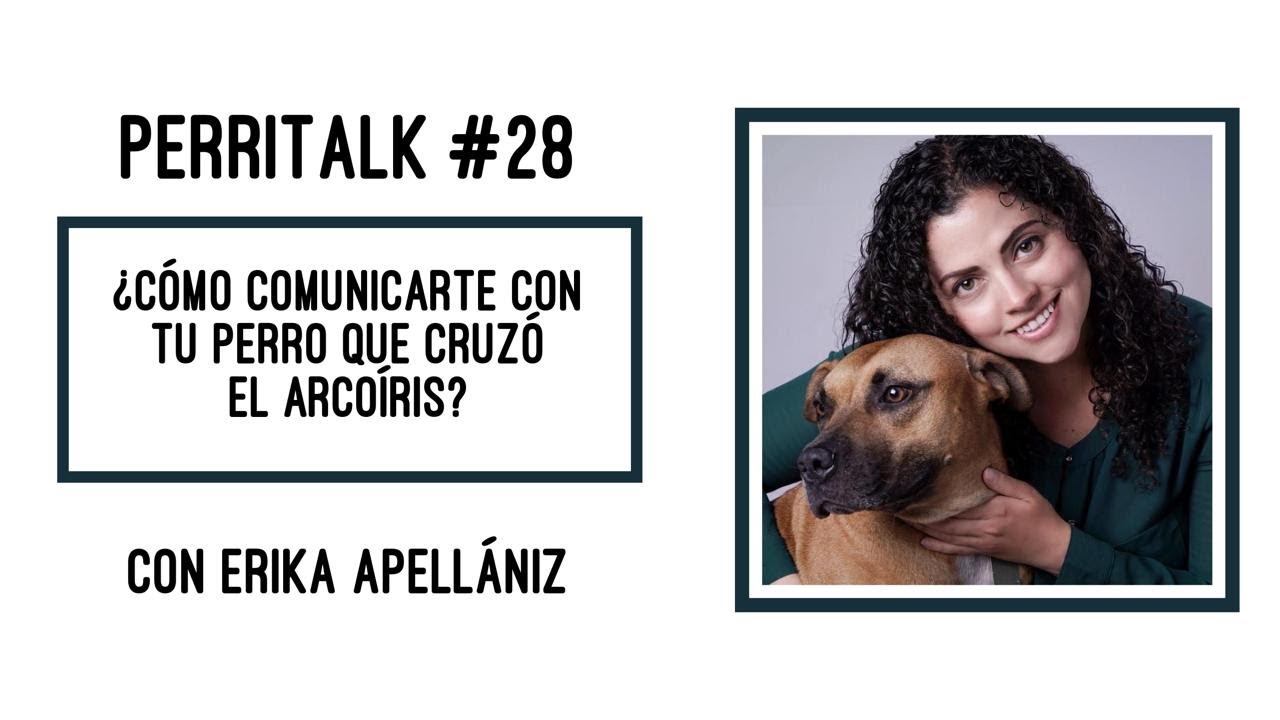 ¿Cómo comunicarte con tu perro que cruzó el arcoíris?