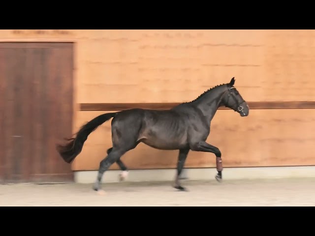 Gaits