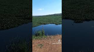 Download lagu Morula Sun dam mp3 Download lagu Morula Sun dam mp3