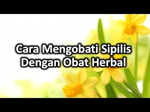 Cara Mengobati Sipilis Dengan Obat Herbal