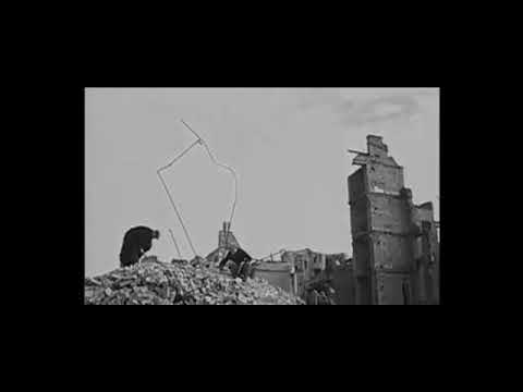 Danzig Deutsche Hansestadt bis 1945 nach der Kapitulation