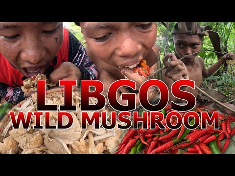 NAKATILAW NAKAG LIBGOS AGAWN? -WILD MUSHROOM