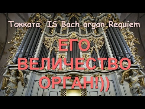 download lagu mp3 mp4 бах скачать бесплатно орган, download lagu бах скачать бесплатно орган gratis, unduh video klip бах скачать бесплатно орган