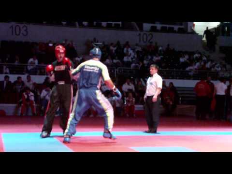 EC WAKO 2012, LC over 94kg FINALE Mitja Potočnik(SLO) vs Peter Ertl(AUT)