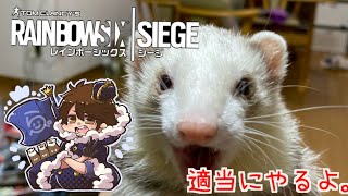 参加型APEX　or　シージ