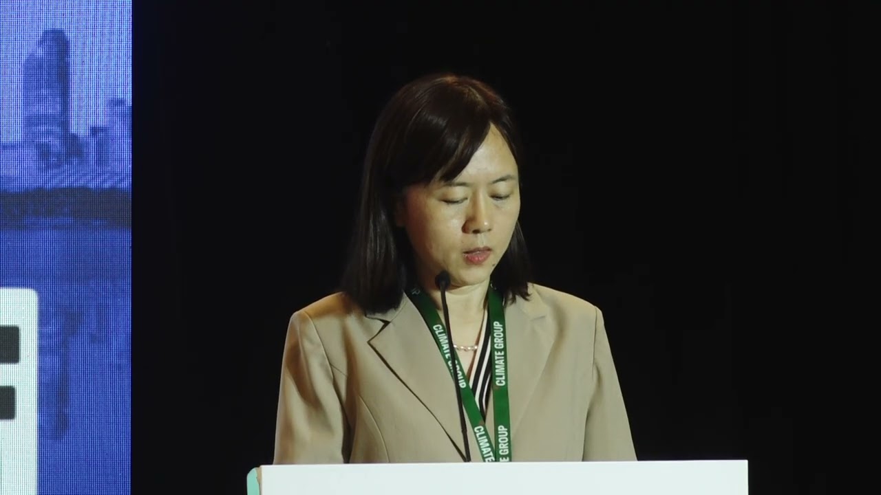 China’s energy strategy for climate action: synergies between green energy and AI