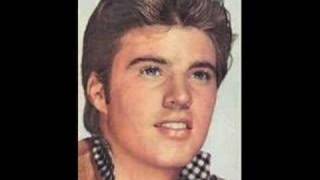 For You - Rick Nelson tribute